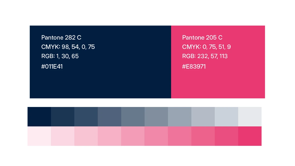 The Zinit palette specified: navy Pantone 282 C and raspberry Pantone 205 C with CMYK, RGB and hex values, over a navy ramp and a raspberry ramp.